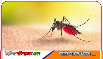 বরিশালে ডেঙ্গু আক্রান্ত বৃদ্ধের মৃত্যু
