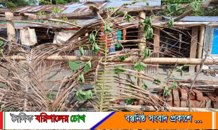 বরিশালে মামলা চলমান জমিতে রাতের আধারে সাইনবোর্ড খুলে নেওয়ার অভিযোগ শিক্ষকের বিরুদ্ধে
