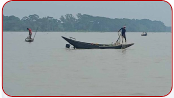 কাউখালীতে থামছে না মা ইলিশ নিধন দায়সারা অভিযান