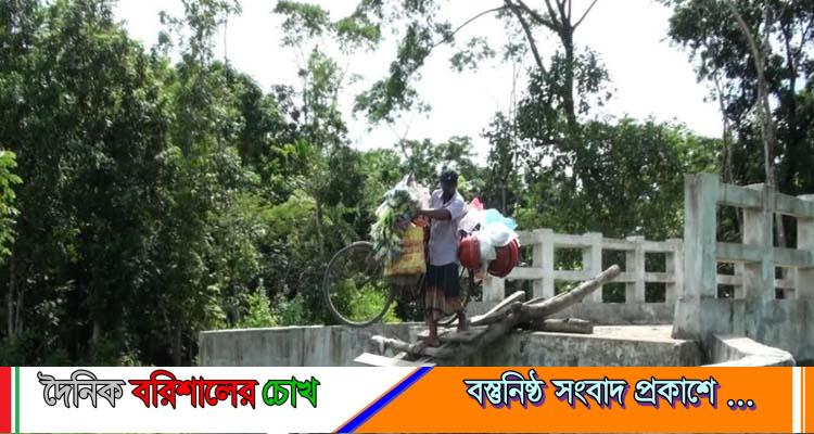বাকেরগঞ্জে কোটি টাকার সেতু কাজে আসছে না, উঠতে হয় মই দিয়ে!