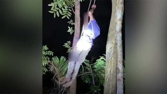 পটুয়াখালীতে শিশুকে হত্যার পর ৭০ ফুট গাছের ওপর ওঠেও রক্ষা পেল না যুবক
