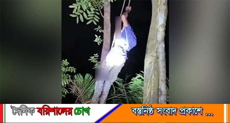 পটুয়াখালীতে শিশুকে হত্যার পর ৭০ ফুট গাছের ওপর ওঠেও রক্ষা পেল না যুবক