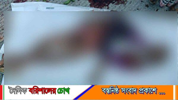 যশোরে ট্রাকচাপায় তরকারি ব্যবসায়ীর মর্মান্তিক মৃত্যু