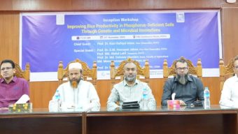 ফসফরাস স্বল্প মাটিতে ধানের উৎপাদন—পটুয়াখালী ভার্সিটিতে উদ্ভাবনী জেনেটিক ও মাইক্রোবিয়াল ওয়ার্কশপ
