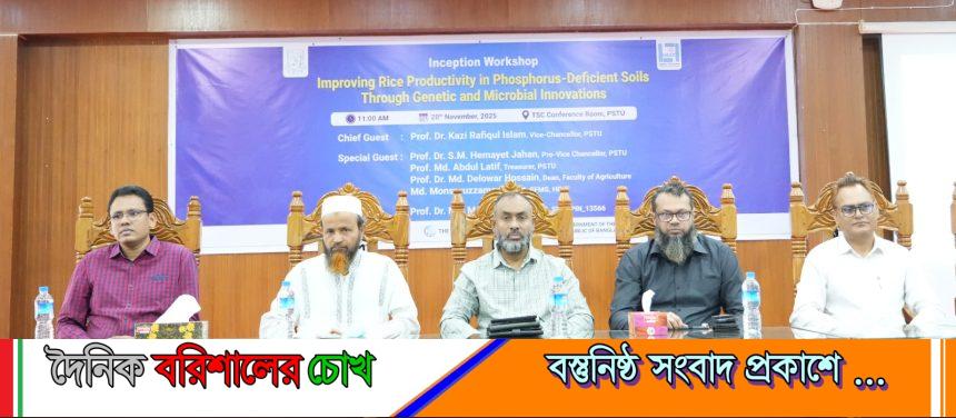 ফসফরাস স্বল্প মাটিতে ধানের উৎপাদন—পটুয়াখালী ভার্সিটিতে উদ্ভাবনী জেনেটিক ও মাইক্রোবিয়াল ওয়ার্কশপ