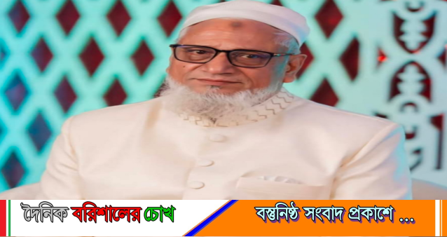 বাবুগঞ্জে বিএনপির নেতৃত্বে নির্ভরতার প্রতীক সুলতান আহমেদ খান