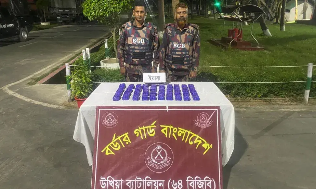উখিয়ায় মাদকবিরোধী অভিযানে বিজিবির হাতে ৮০ হাজার ইয়াবা উদ্ধার