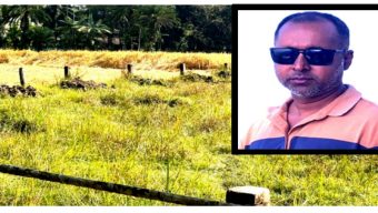 নলছিটিতে বন ধ্বংসের অভিযোগ, আ’লীগ নেতার বিরুদ্ধে উত্তেজনা