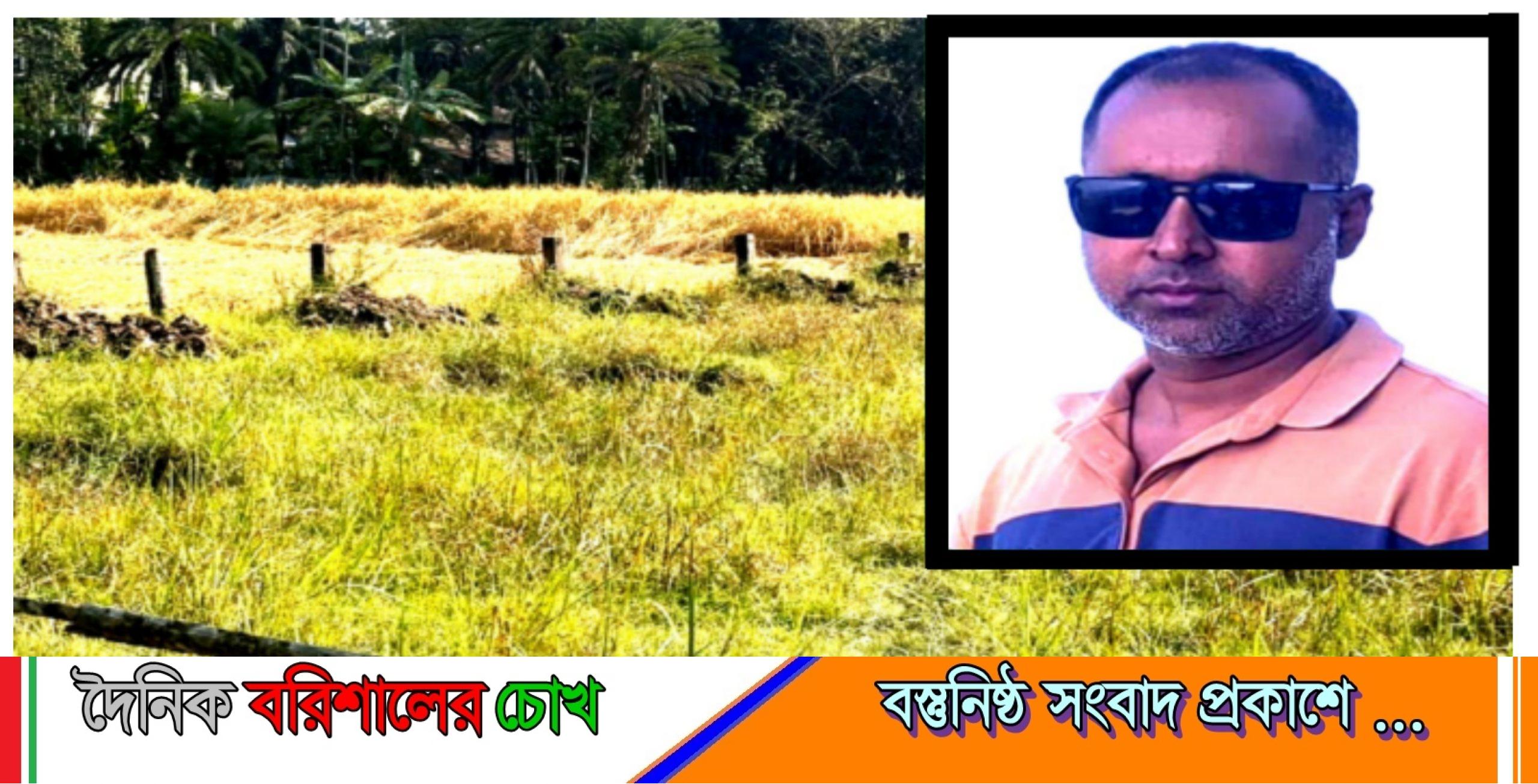 নলছিটিতে বন ধ্বংসের অভিযোগ, আ’লীগ নেতার বিরুদ্ধে উত্তেজনা