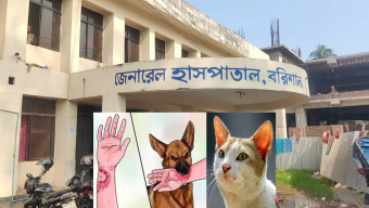 কুকুর–বিড়ালের কামড় বাড়ছে, বরিশাল জেনারেল হাসপাতালে বন্ধ জলাতঙ্ক ভ্যাকসিন কার্যক্রম