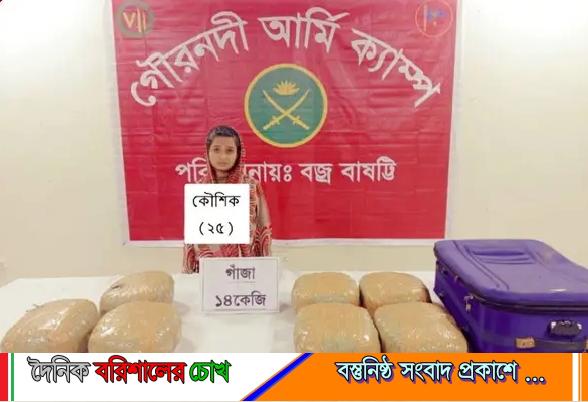 গৌরনদীতে সেনাবাহিনীর অভিযানে ১৪ কেজি গাঁজাসহ একজন আটক