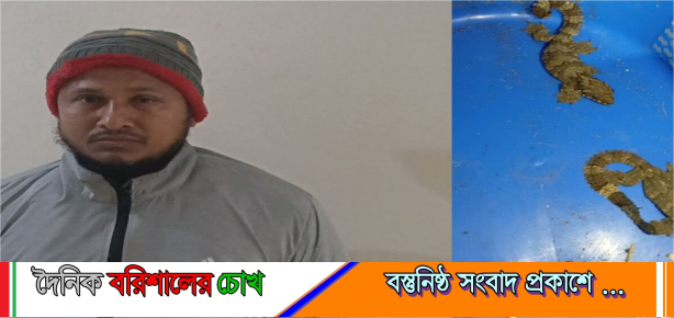 পিরোজপুরের নাজিরপুরে দুইটি তক্ষকসহ যুবক আটক, বন্যপ্রাণী আইনে মামলা প্রক্রিয়াধীন