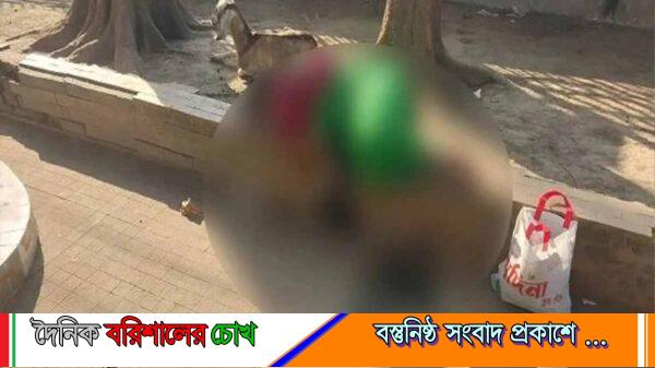 বরিশালে প্রেমের বিয়ের চার মাসেই তালাক, অভিমানে বিষপানে তরুণীর মৃত্যু