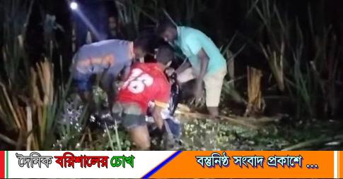 বরিশাল সদরে দেলোয়ার হোসেন চৌধুরীকে হত্যা, ডোবায় মিলল মরদেহ