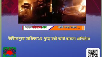 উজিরপুরে অগ্নিকাণ্ডে পুড়ে ছাই আট ব্যবসা প্রতিষ্ঠান
