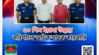 ৫০ পিস ইয়াবা উদ্ধার, বরিশালে আটক মাদক কারবারি