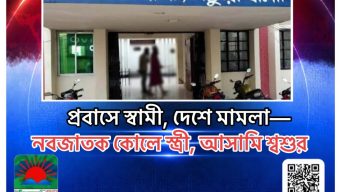 প্রবাসে স্বামী, দেশে মামলা—নবজাতক কোলে স্ত্রী, আসামি শ্বশুর