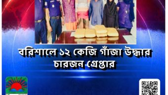 বরিশালে ১২ কেজি গাঁজা উদ্ধার, চারজন গ্রেপ্তার