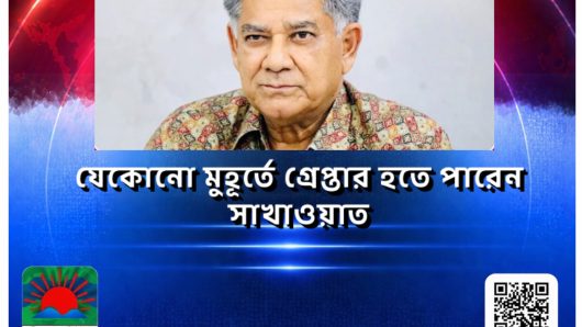 যেকোনো সময় গ্রেপ্তার হতে পারেন অর্ন্তবর্তী সরকারের সাবেক উপদেষ্টা ও ওয়ান-ইলেভেনের সময়কার নির্বাচন কমিশনার ব্রিগেডিয়ার জেনারেল (অব.) এম সাখাওয়াত হোসেন।