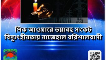 পিক আওয়ারে ভয়াবহ সংকট, বিদ্যুৎহীনতায় নাজেহাল বরিশালবাসী