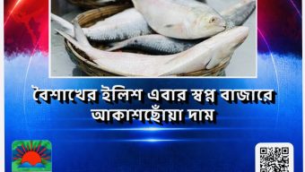 বৈশাখের ইলিশ এবার স্বপ্ন, বাজারে আকাশছোঁয়া দাম