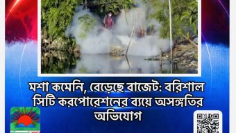 মশা কমেনি, বেড়েছে বাজেট: বরিশাল সিটি করপোরেশনের ব্যয়ে অসঙ্গতির অভিযোগ
