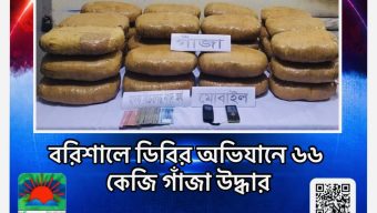 বরিশালে ডিবির অভিযানে ৬৬ কেজি গাঁজা উদ্ধার