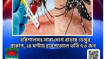 বরিশালসহ সারা দেশে বাড়ছে ডেঙ্গুর প্রকোপ, ২৪ ঘণ্টায় হাসপাতালে ভর্তি ৭৩ জ