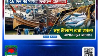 অপেক্ষার অবসান: ৫৮ দিন পর সাগরে ফিরছেন জেলেরা, স্বপ্ন ইলিশে ভরা জাল