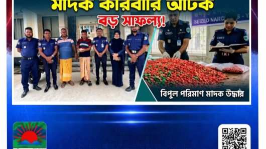 মঠবাড়িয়ায় ২ হাজার ইয়াবাসহ মাদক কারবারি আটক
