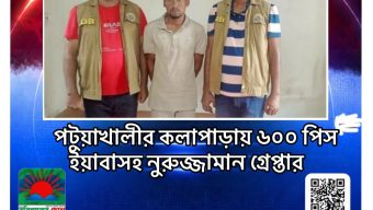 পটুয়াখালীর কলাপাড়ায় ৬০০ পিস ইয়াবাসহ নুরুজ্জামান গ্রেপ্তার