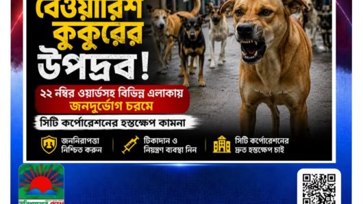 বরিশাল নগরীতে বেওয়ারিশ কুকুরের উপদ্রব: ২২ নম্বর ওয়ার্ডসহ বিভিন্ন এলাকায় জনদুর্ভোগ, সিটি কর্পোরেশনের হস্তক্ষেপ কামনা