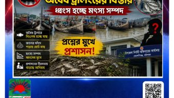 মহিপুর-আলীপুরে অবৈধ ট্রলিংয়ের বিস্তার, ধ্বংস হচ্ছে মৎস্য সম্পদ, প্রশ্নের মুখে প্রশাসন।