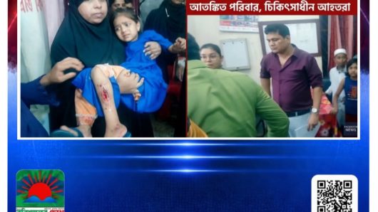 পটুয়াখালীর দুমকিতে সন্দেহভাজন পাগলা কুকুরের তাণ্ডব, শিশুসহ ১০ জন আহত