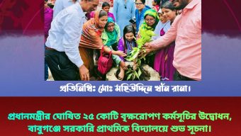 প্রধানমন্ত্রীর ঘোষিত ২৫ কোটি বৃক্ষরোপণ কর্মসূচির উদ্বোধন, বাবুগঞ্জে সরকারি প্রাথমিক বিদ্যালয়ে শুভ সূচনা।