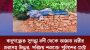 বাবুগঞ্জের। সুগন্ধা নদী থেকে অজ্ঞাত নারীর মরদেহ উদ্ধার, পরিচয় শনাক্তে পুলিশের চেষ্টা