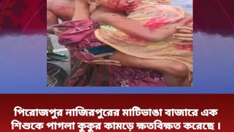 পিরোজপুর নাজিরপুরের মাটিভাঙা বাজারে এক শিশুকে পাগলা কুকুর কামড়ে ক্ষতবিক্ষত করেছে।