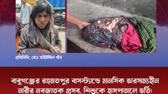 বাবুগঞ্জের রহমতপুর বাসস্ট্যান্ডে মানসিক ভারসাম্যহীন নারীর নবজাতক প্রসব, শিশুকে হাসপাতালে ভর্তি।