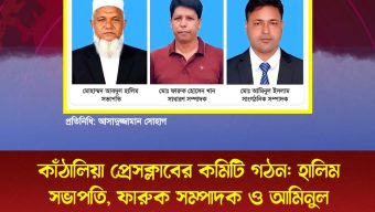 কাঁঠালিয়া প্রেসক্লাবের কমিটি গঠন: হালিম সভাপতি, ফারুক সম্পাদক ও আমিনুল সাংগঠনিক সম্পাদক