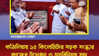 কাঁঠালিয়ায় ১৫ কিলোমিটার সড়ক সংস্কার কাজের উদ্বোধন ও মতবিনিময় সভা