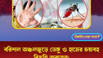 বরিশাল অঞ্চলজুড়ে ডেঙ্গু ও হামের ভয়াবহ বিস্তৃতি অব্যাহত।